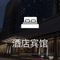 描述